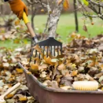 Featured image placeholder 16:9